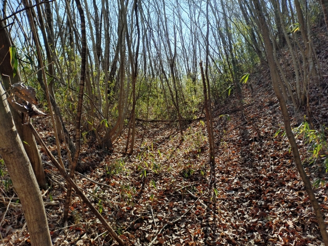 �����i�َR�j