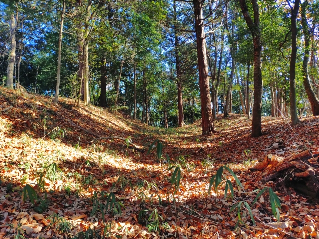 �_�y����