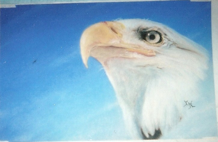 EAGLE(PHOTO)