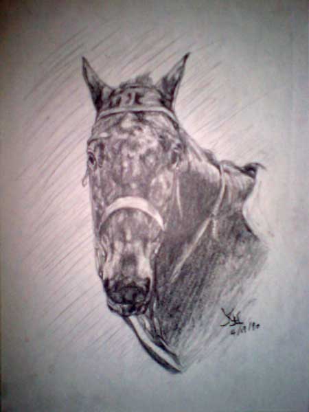 BRIDLED HORSE (SKETCH)