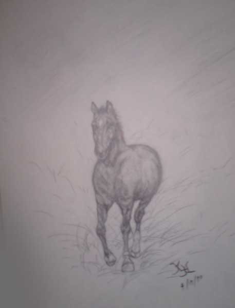 RUNNING HORSE (SKETCH)