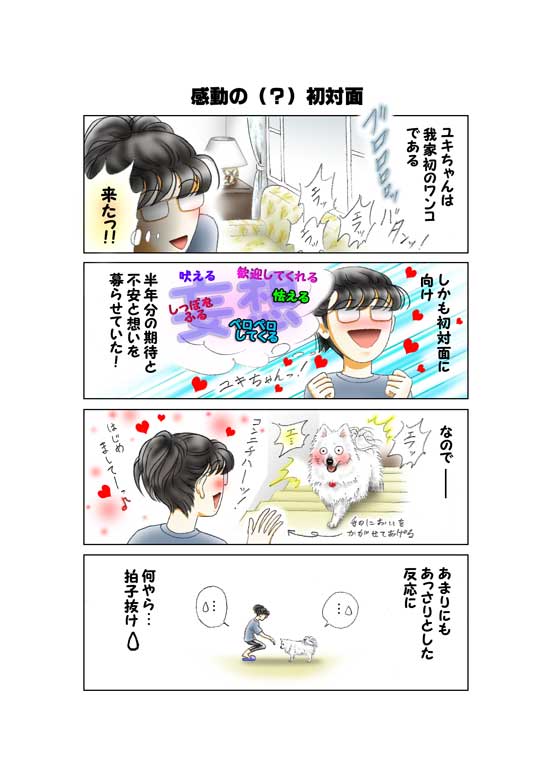 STORY 25