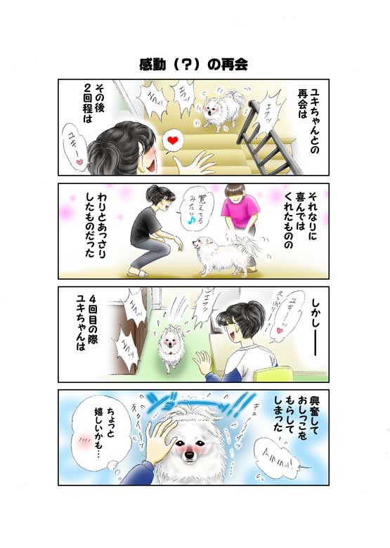 STORY 26