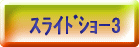 スライドショー3