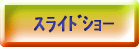 ײ޼ 