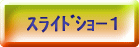 スライドショー1
