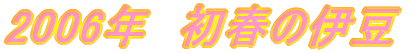 2006N@ẗɓ