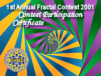 AFC2001 Participation Certificate