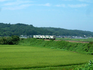 田園地帯