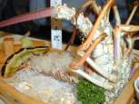 lobster.jpg