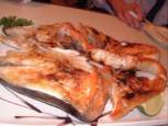 salmon1.JPG