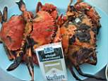 crab.jpg