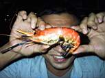 shrimp.jpg