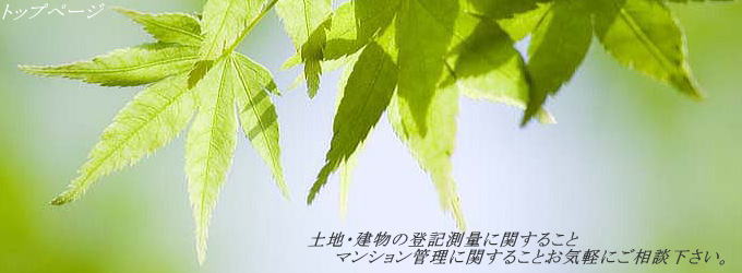 coLʎgbvy[W